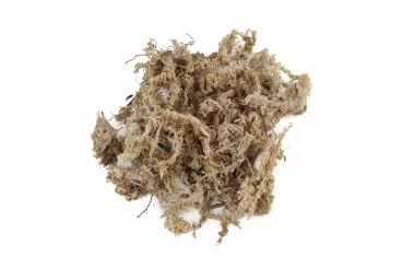 Sphagnum Moos 5 kg aus Chile